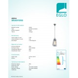 EGLO 49214 | Bradford Eglo visiace svietidlo 1x E27 starožitná strieborná, priesvitná, natur