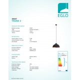 EGLO 49247 | Truro-2 Eglo visiace svietidlo 1x E27 čierna, mosadz