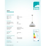 EGLO 49757 | Combwich Eglo visiace svietidlo 1x E27 sivé