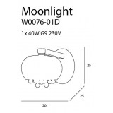 MAXLIGHT W0076-01D | MoonlightM Maxlight stenové svietidlo 1x G9 chróm, priesvitné