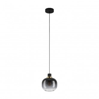 EGLO 99616 | Oilella Eglo visiace svietidlo 1x E27 čierna, mosadz, priesvitná čierná