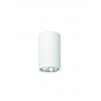 LAMPEX 483/A | Simba Lampex stropné svietidlo 1x GU10 biela
