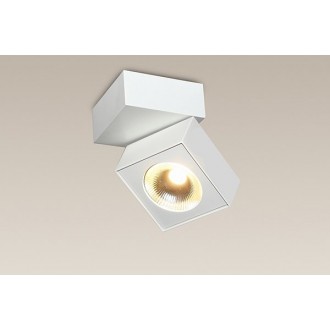 MAXLIGHT C0106 | Artu Maxlight spot svietidlo otočné prvky 1x LED 1000lm 3000K biela