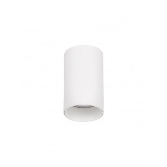 NOVA LUCE 9030414 | Loyd Nova Luce stropné svietidlo hriadeľ 1x GU10 matný biely