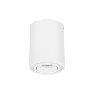 NOVA LUCE 9030426 | Ulty Nova Luce stropné svietidlo hriadeľ otáčateľný svetelný zdroj 1x GU10 matný biely